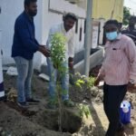 Tree Plantation Drive