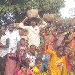 Pongal Celebrations