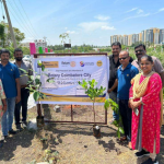 Tree Plantation